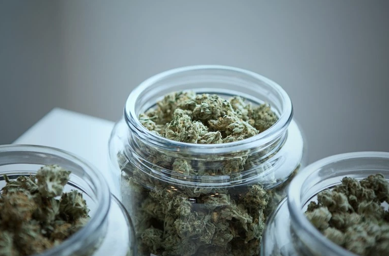 Image of marijuana buds filled in three clear glass jars